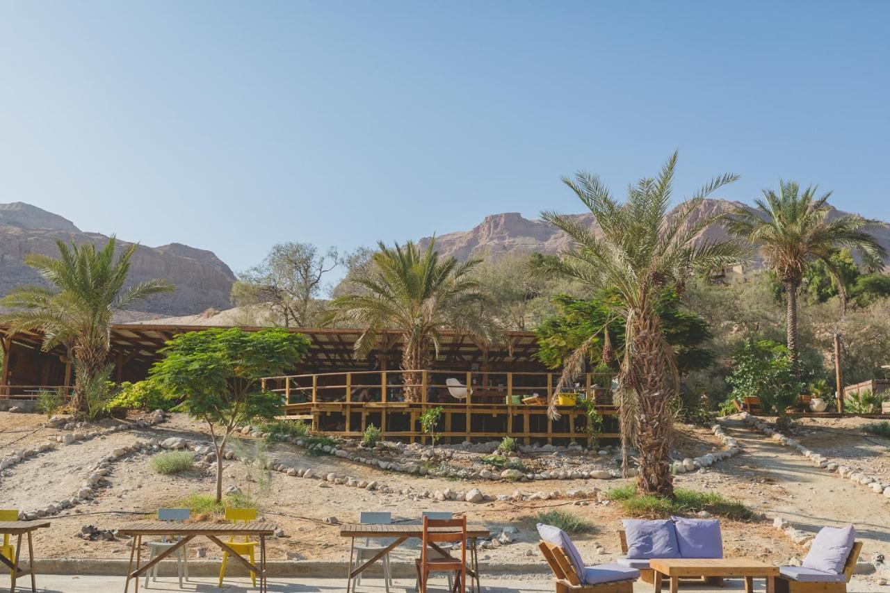 Ein Gedi Camp Lodge Luaran gambar